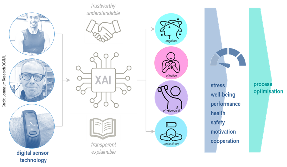 digital human factors